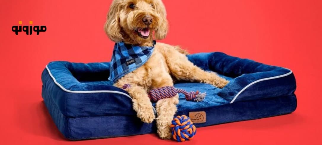 خرید لوازم حیوانات خانگی از آمازون